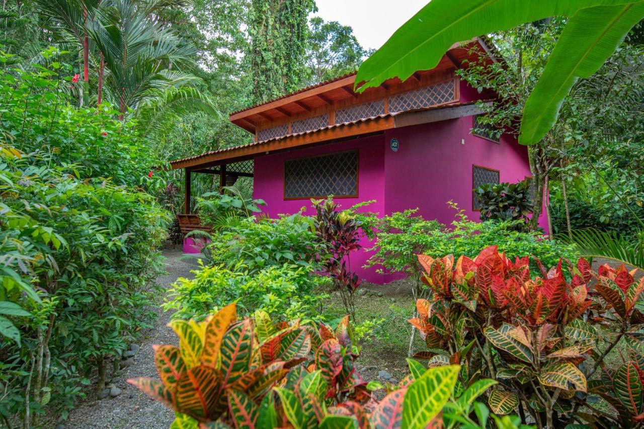 Villa Pina Dorada Dependencia Del Hotel Casa Merlin Puerto Viejo de Talamanca Eksteriør bilde