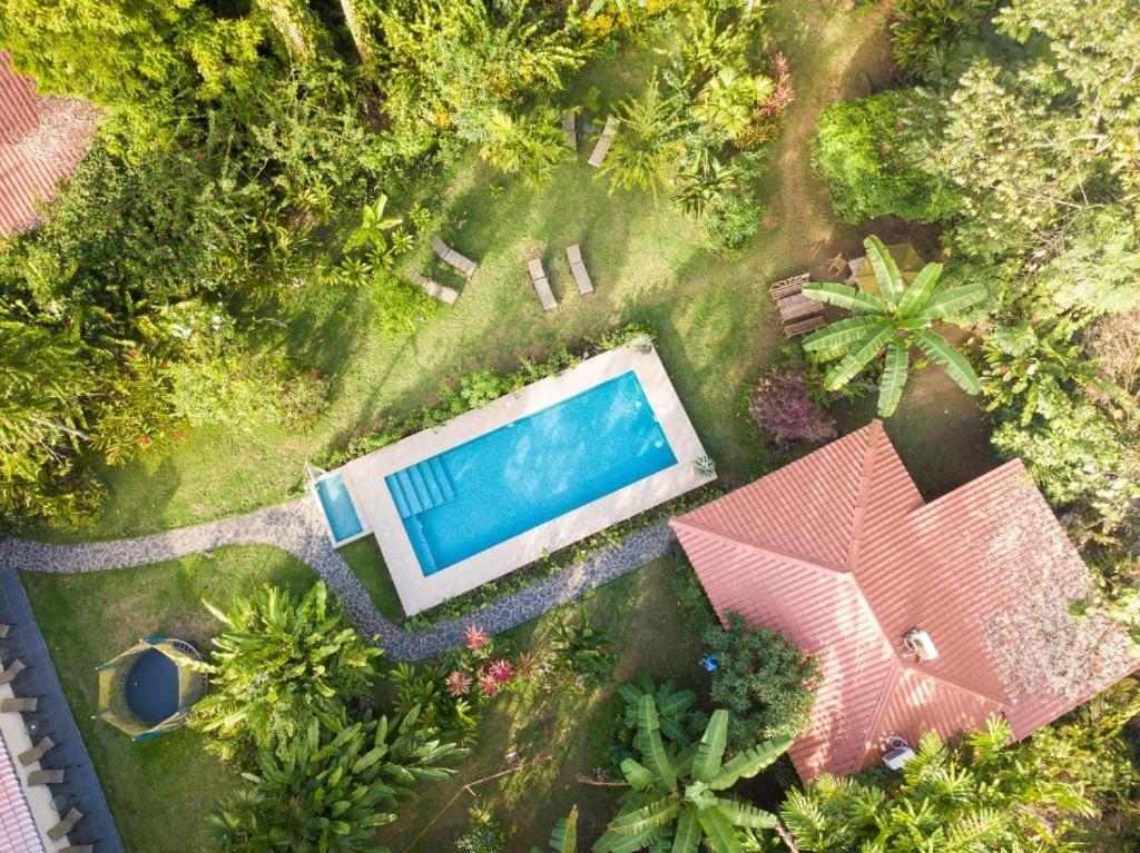 Villa Pina Dorada Dependencia Del Hotel Casa Merlin Puerto Viejo de Talamanca Eksteriør bilde