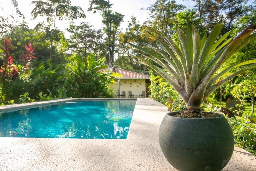 Villa Pina Dorada Dependencia Del Hotel Casa Merlin Puerto Viejo de Talamanca Eksteriør bilde