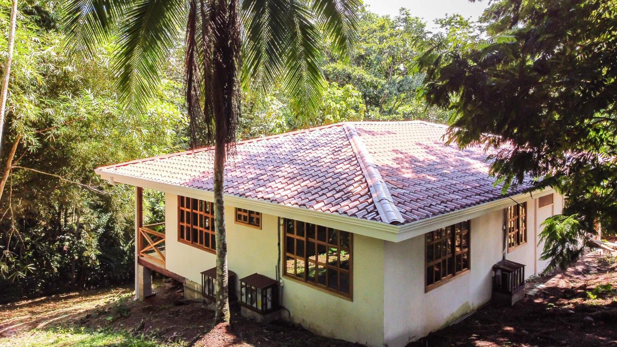 Villa Pina Dorada Dependencia Del Hotel Casa Merlin Puerto Viejo de Talamanca Eksteriør bilde